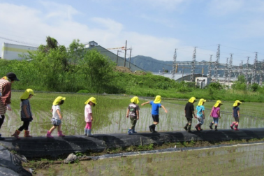 田んぼ道５歳児
