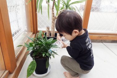 ２歳児・テラスに置いてある観葉植物に水をあげている様子