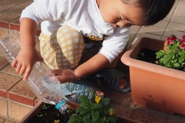 ２歳児・朝の様子・花の水やり②
